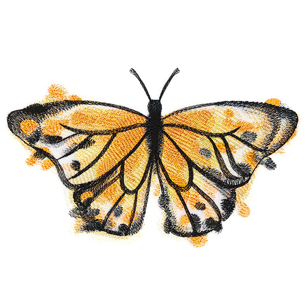 Nature's Palette Monarch