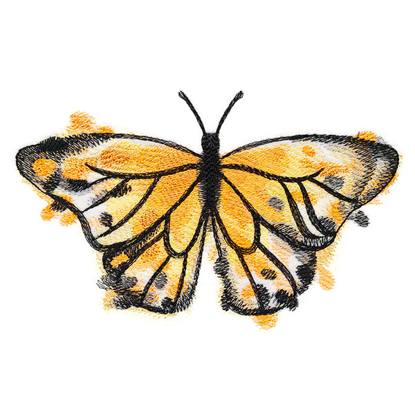 Nature's Palette Monarch