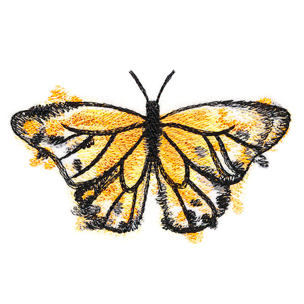 Nature's Palette Monarch