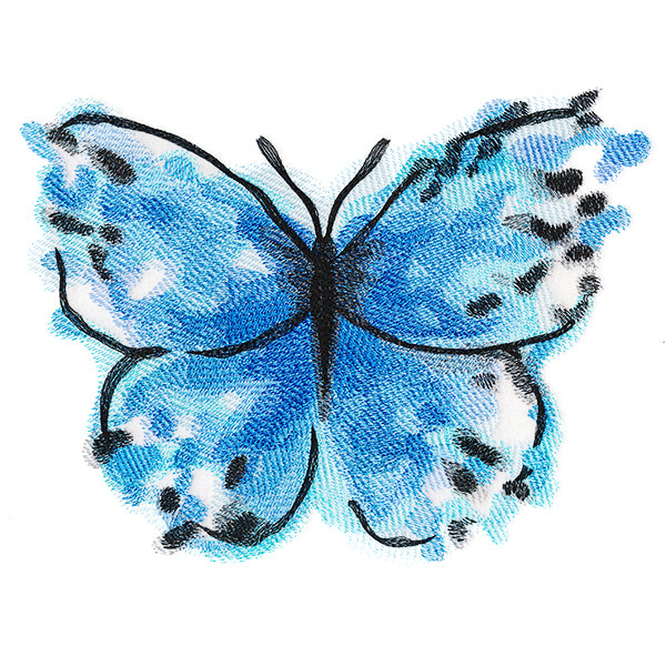 Nature's Palette Blue Morpho