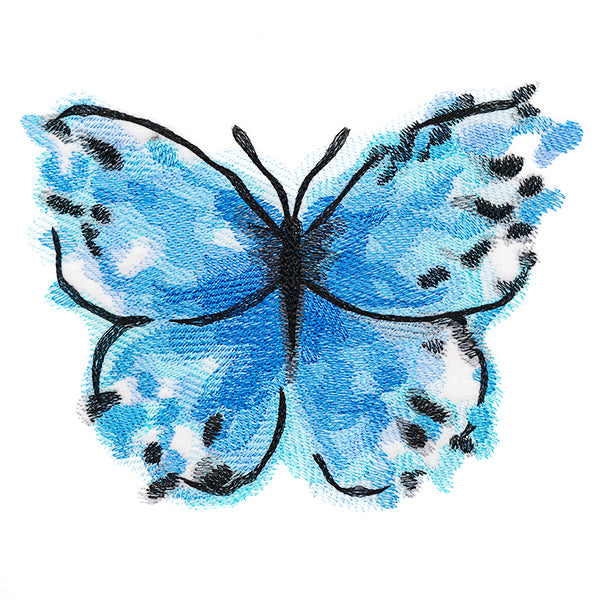 Nature's Palette Blue Morpho