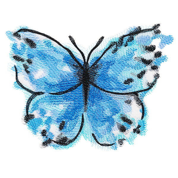 Nature's Palette Blue Morpho