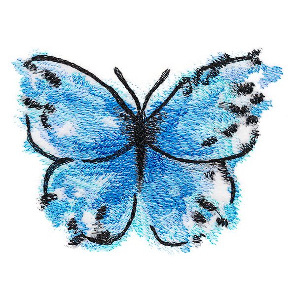 Nature's Palette Blue Morpho