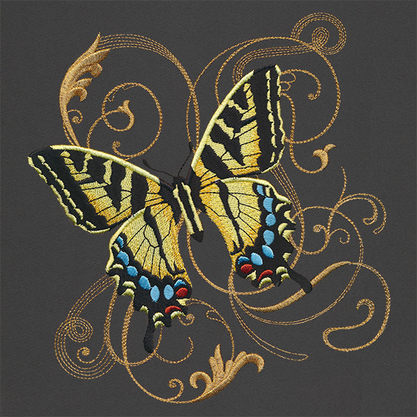 Illuminated Butterfly