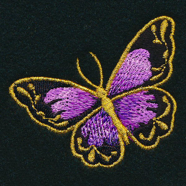 Glimmering Butterfly