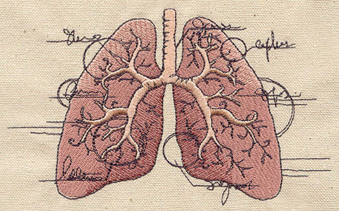 Anatomical Lungs