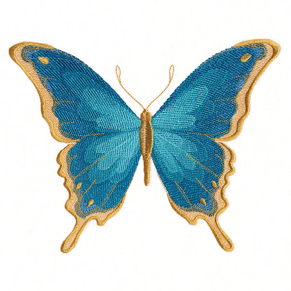 Everlasting Butterfly