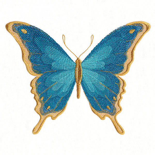 Everlasting Butterfly