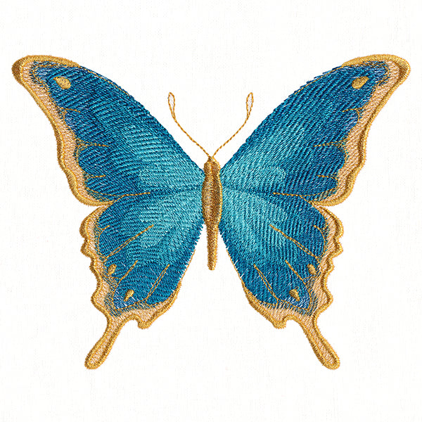 Everlasting Butterfly