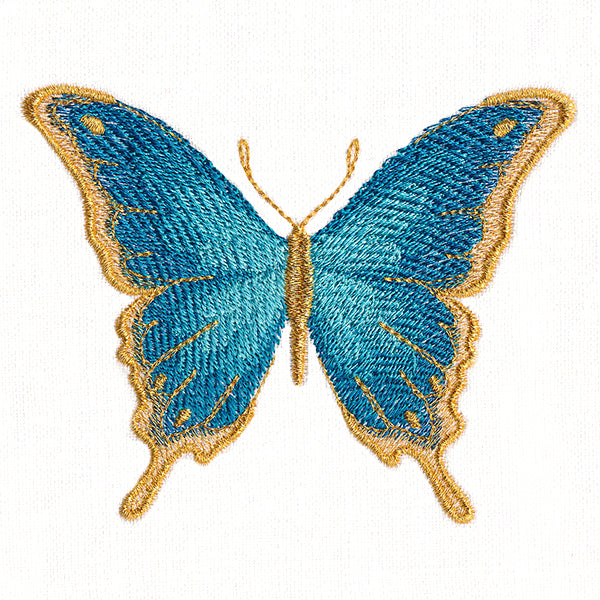 Everlasting Butterfly