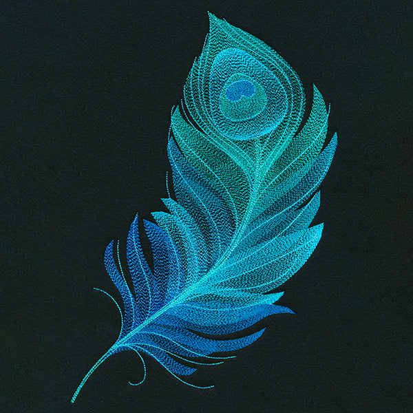 Exquisite Peacock Feather