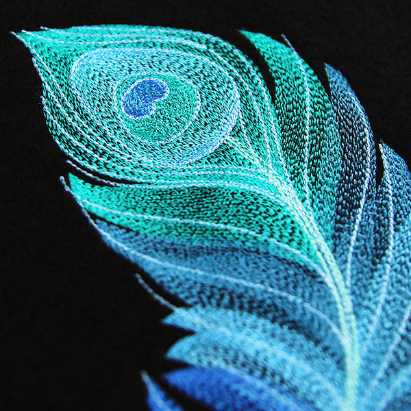 Exquisite Peacock Feather