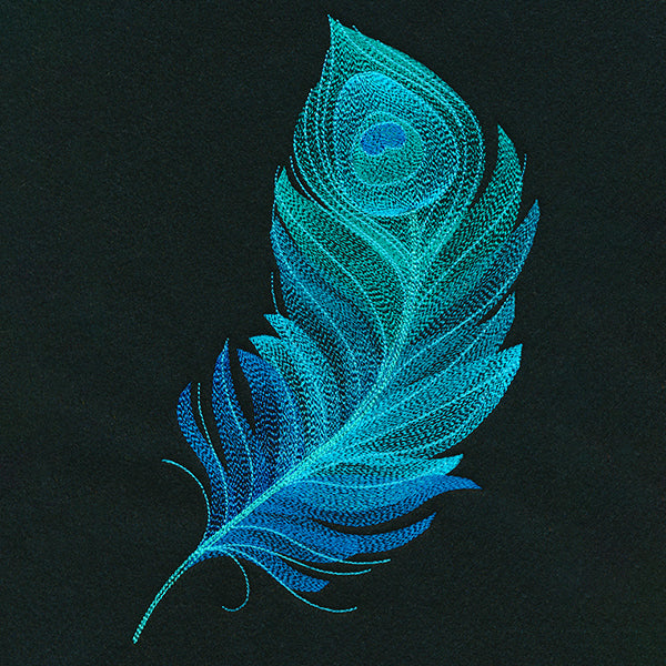 Exquisite Peacock Feather