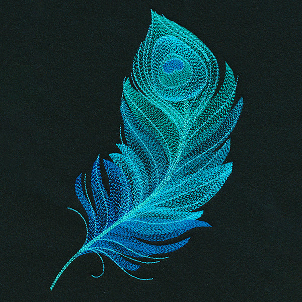 Exquisite Peacock Feather