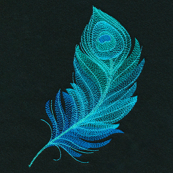 Exquisite Peacock Feather