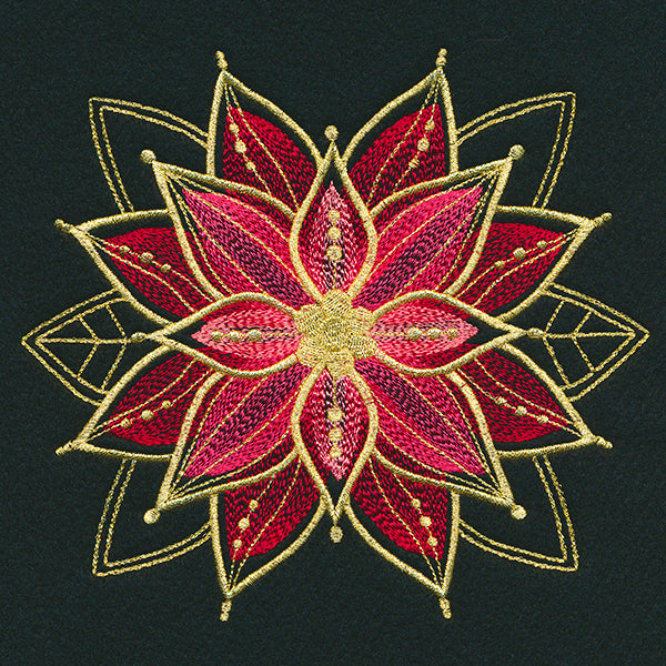 Gilded Mirage Poinsettia