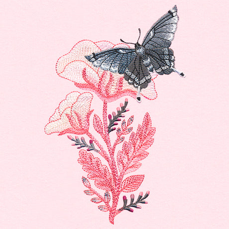 Fluttering Moth in Blooms