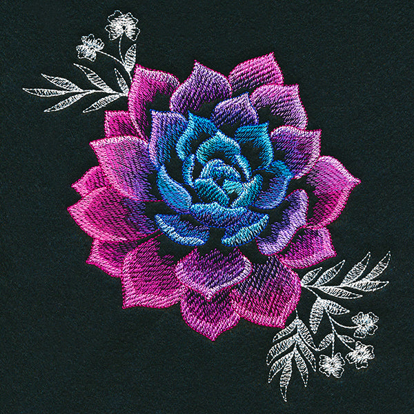 Sheer Beauty Succulent