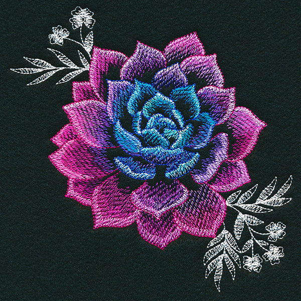 Sheer Beauty Succulent