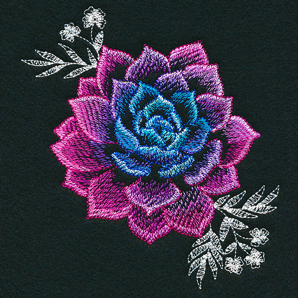 Sheer Beauty Succulent