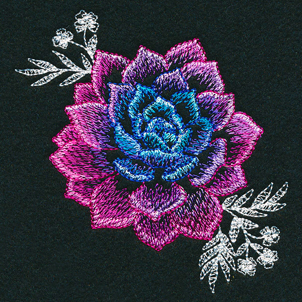 Sheer Beauty Succulent