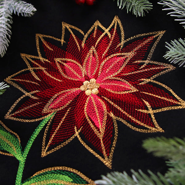 Midnight Mirage Poinsettia