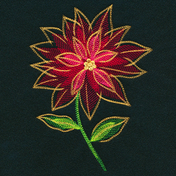 Midnight Mirage Poinsettia