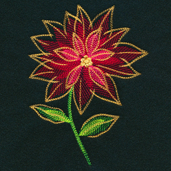 Midnight Mirage Poinsettia