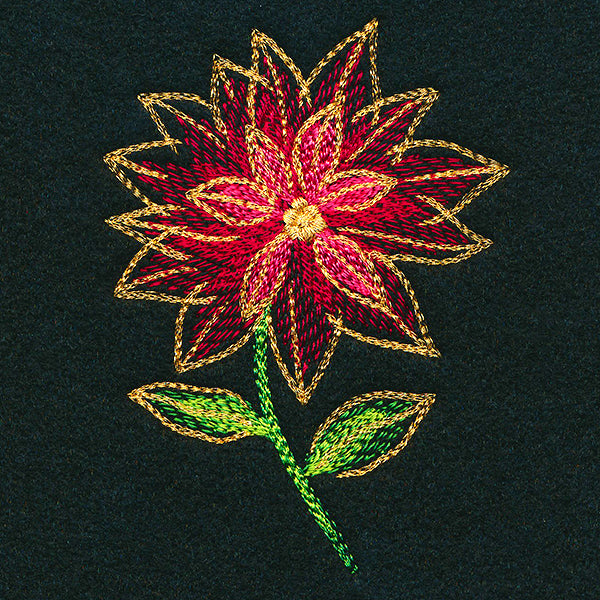 Midnight Mirage Poinsettia