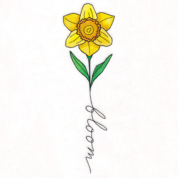 May Bloom Daffodil