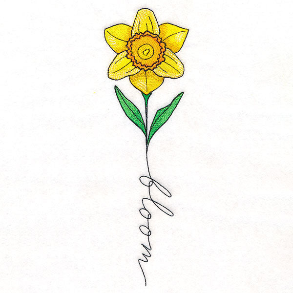 May Bloom Daffodil