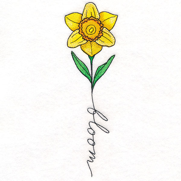 May Bloom Daffodil