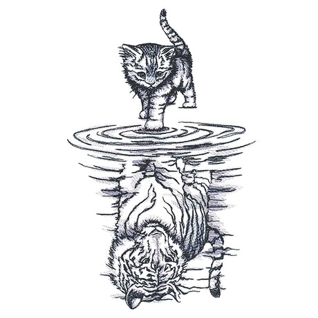 Feline Reflection