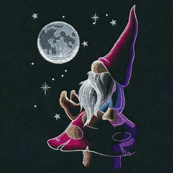 Moon Gazing Gnome
