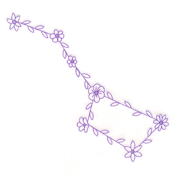 Flourishing Big Dipper
