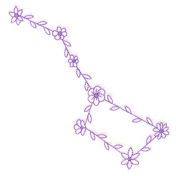 Flourishing Big Dipper