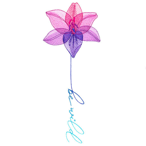 Be Wild Lily in Bloom