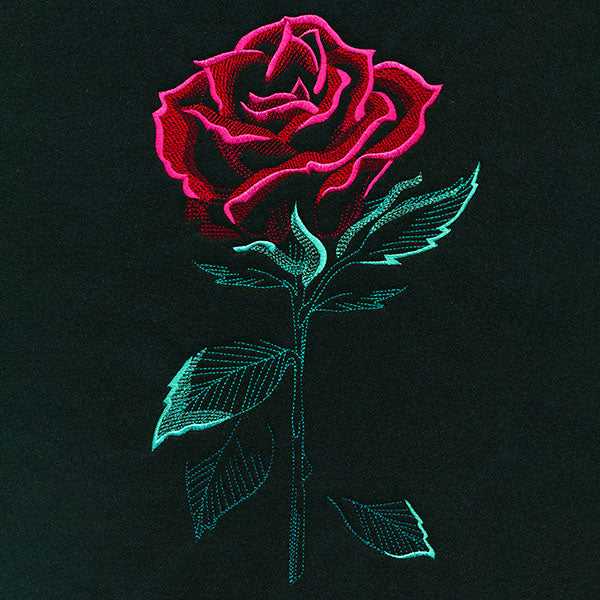 Romantic Rose