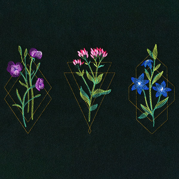 Avant-Garden Trio