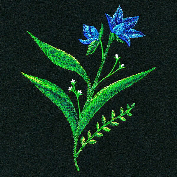 Mesmerizing Wildflowers - Short