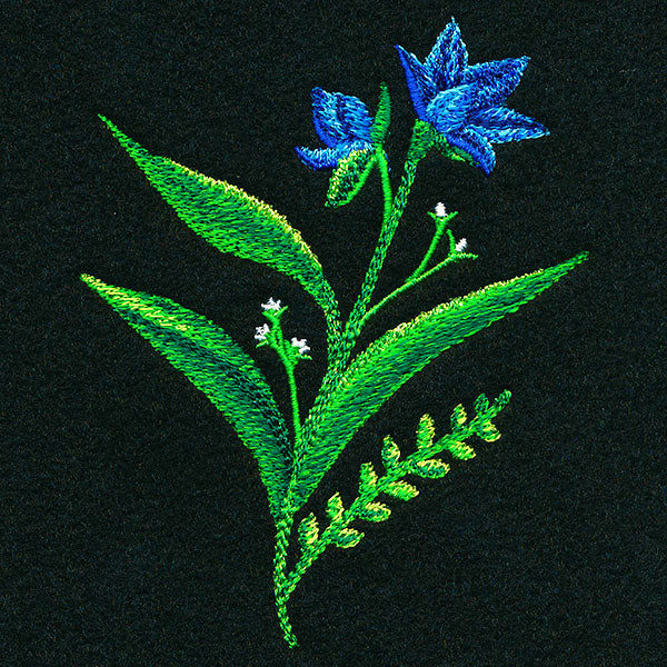 Mesmerizing Wildflowers - Short