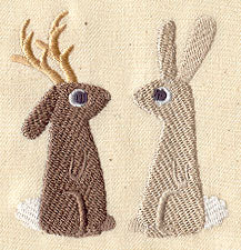 The Jackalope and the Rabbit