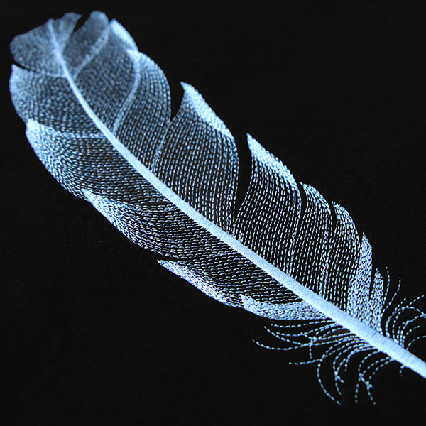 Graceful Feather