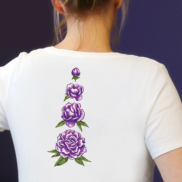 From Bud to Bloom Peony