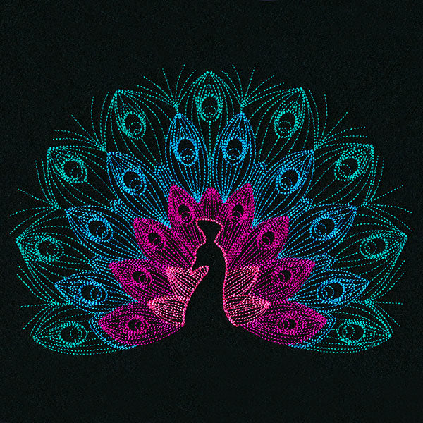 Mesmerizing Peacock
