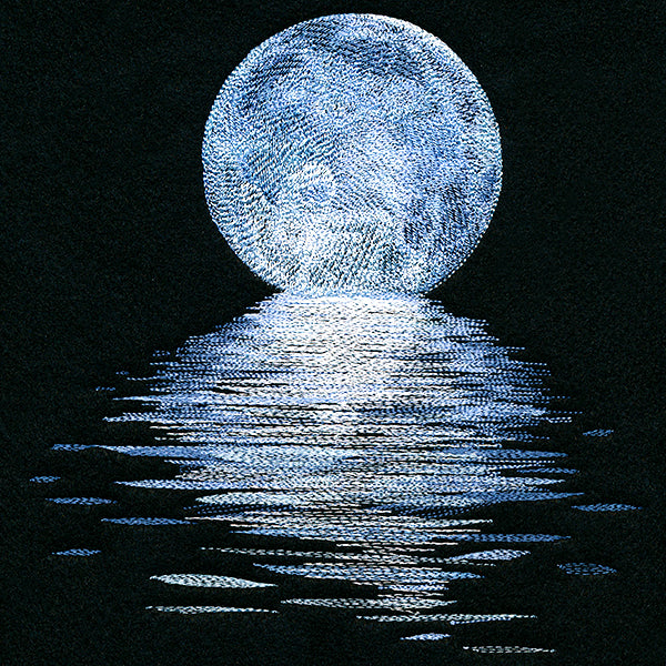 Moonlit Reflections