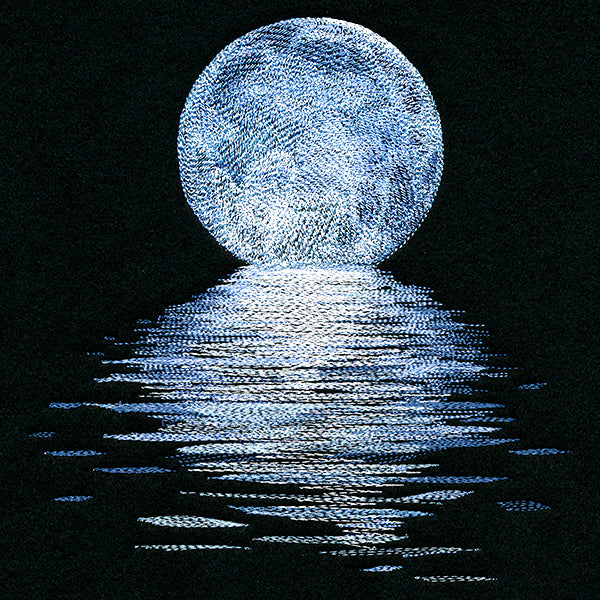 Moonlit Reflections