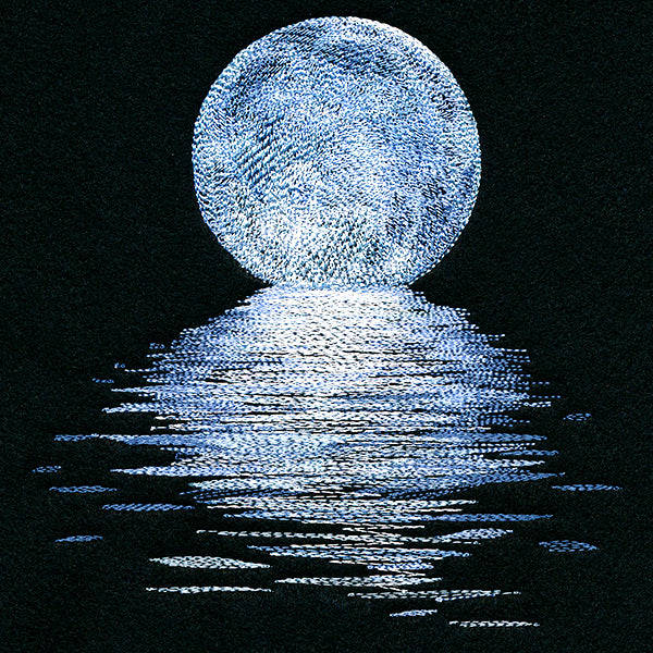 Moonlit Reflections