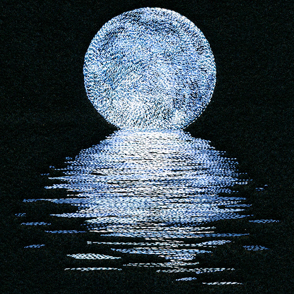 Moonlit Reflections