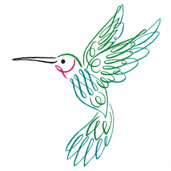 Calligraphic Hummingbird